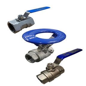 1000 PSI Valves