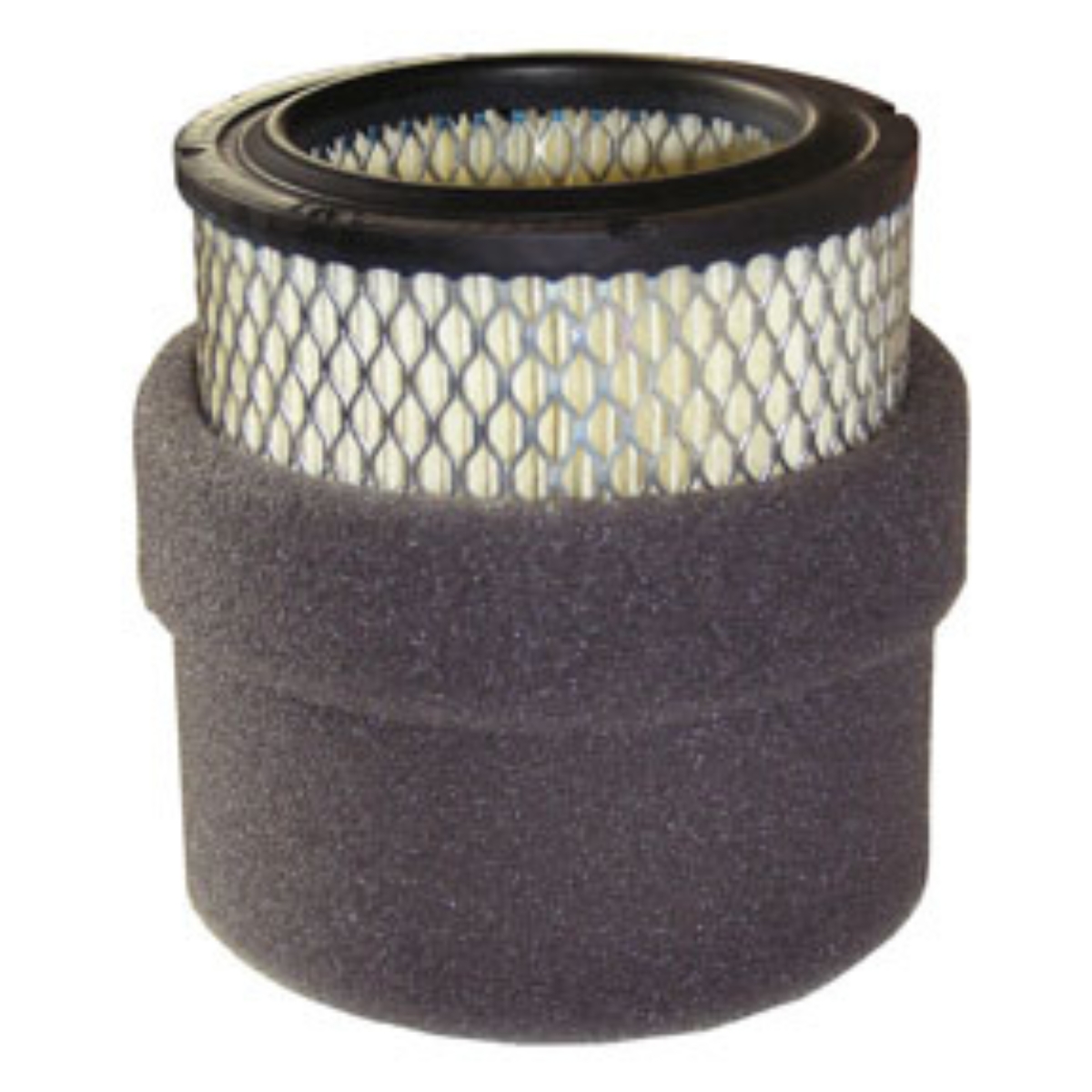 Filter Element Paper 2 Micron w/Prefilter