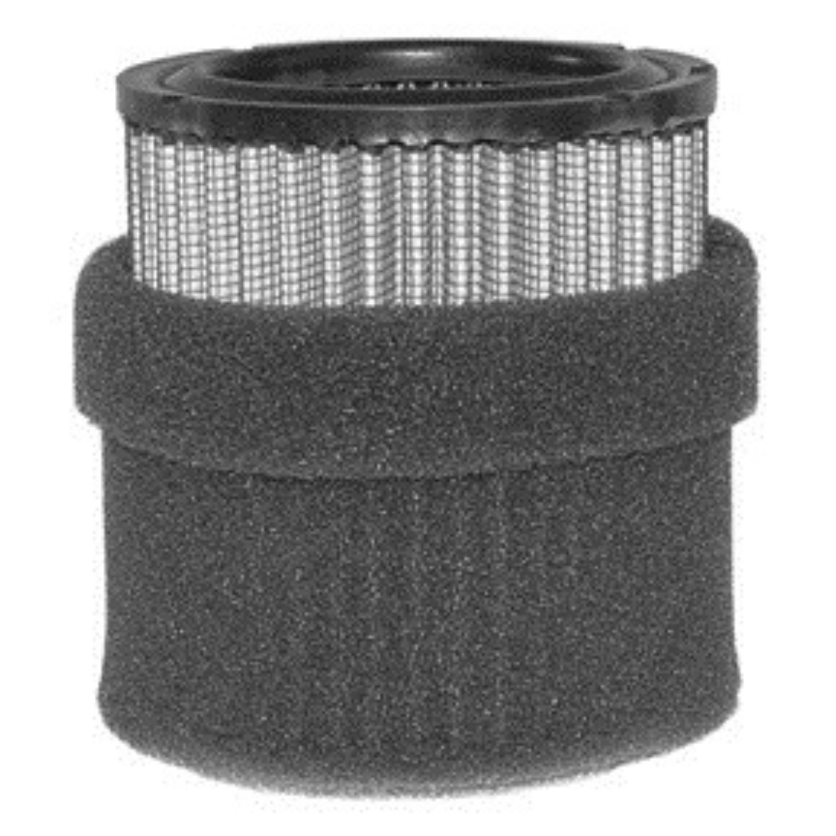 Filter Element Paper 2 Micron w/Prefilter