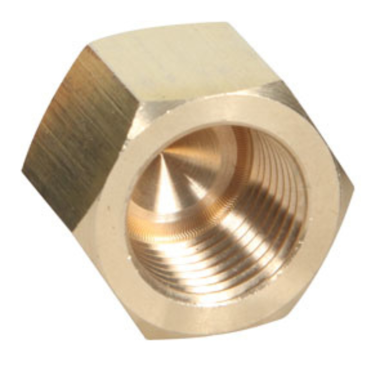 3/4 FPT Brass Cap Pipe Fitting