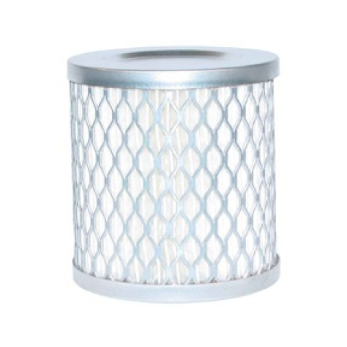 Filter Element Paper 2 Micron w/Galvanized Steel Cage