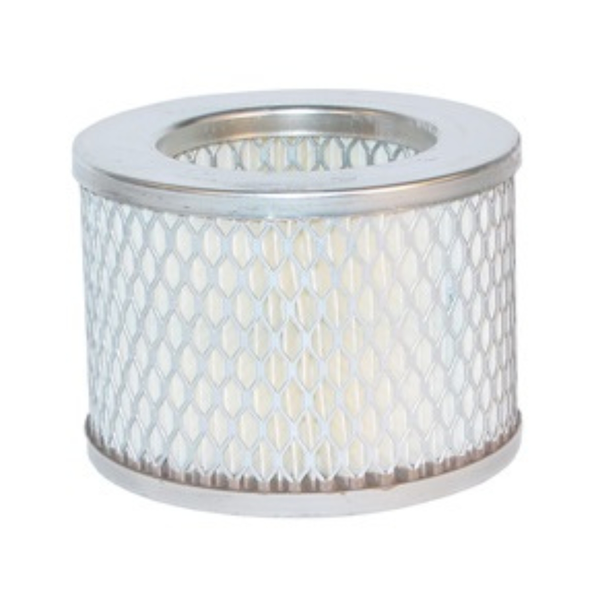 Filter Element Paper 2 Micron w/Galvanized Steel Cage