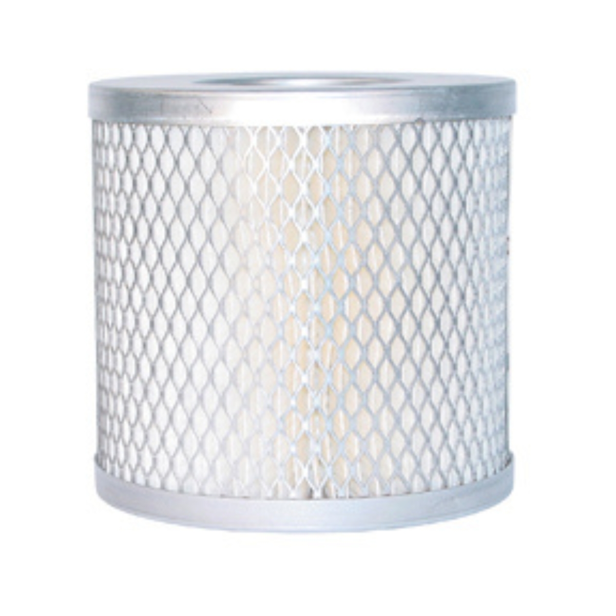 Filter Element Paper 2 Micron w/Galvanized Steel Cage