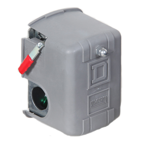 Pressure Switch w/Lever
95-125 1/4 FPT