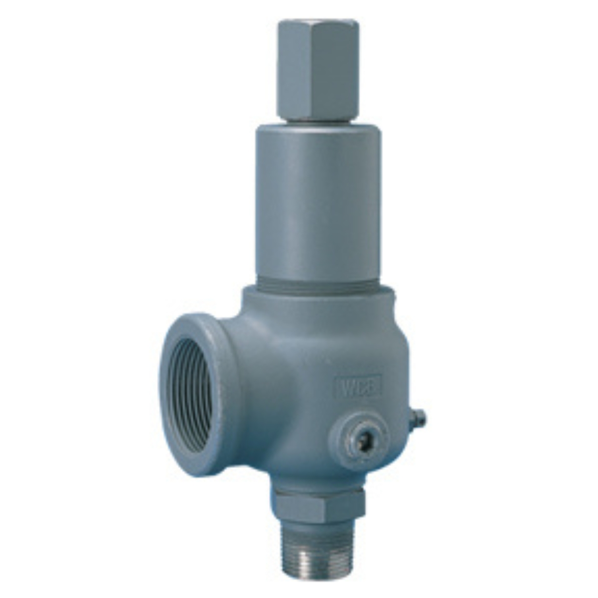 910 Series Safety Valves