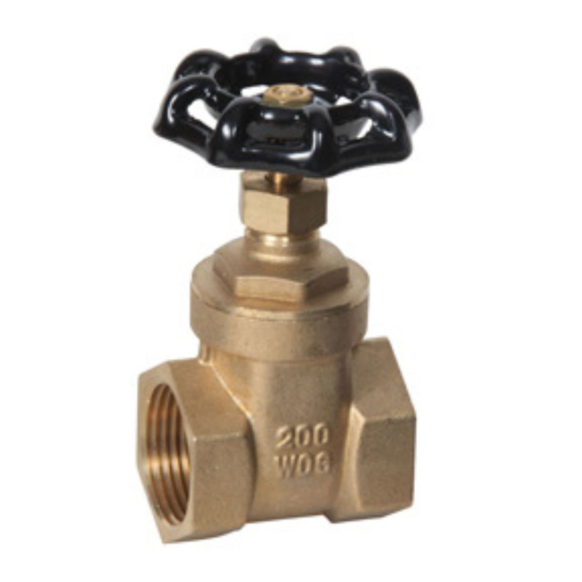 1" FPT Brass Gate Valve  200 PSI CWP