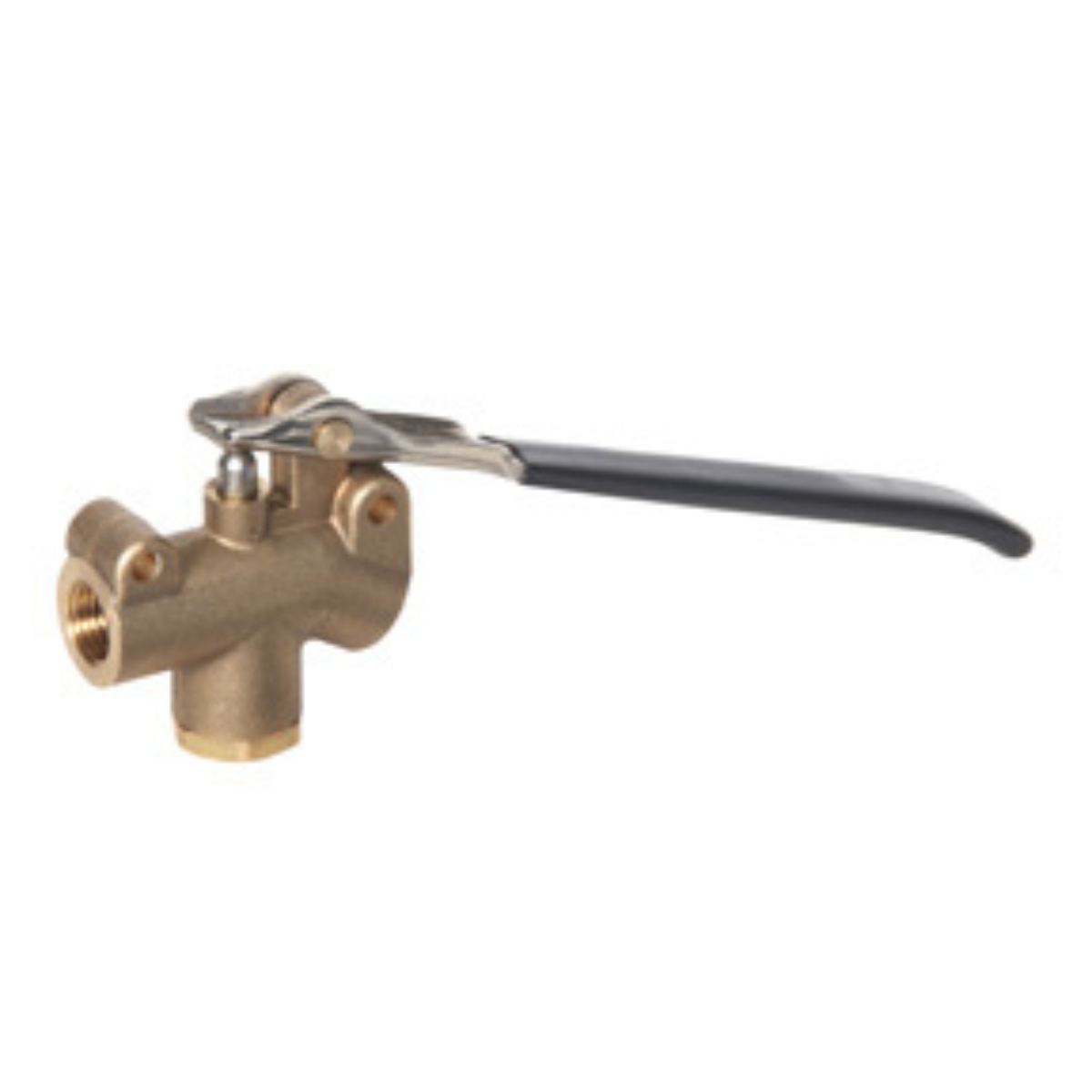 1/4 FPT Wand Valve