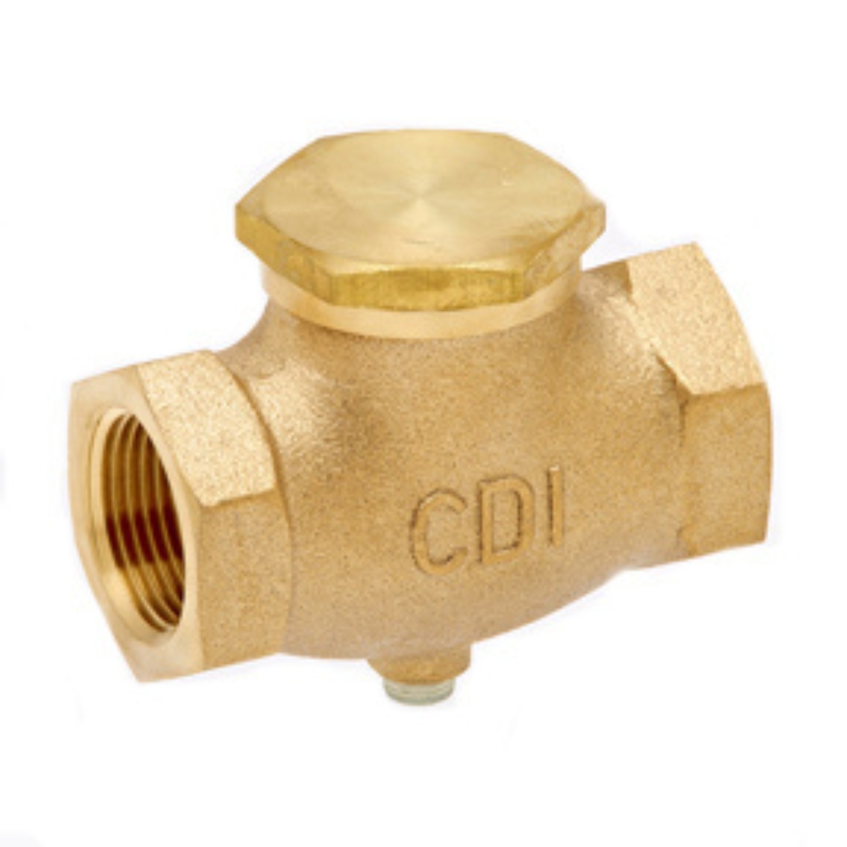 1/8 FPT In-Line Check Valve 12 SCFM 