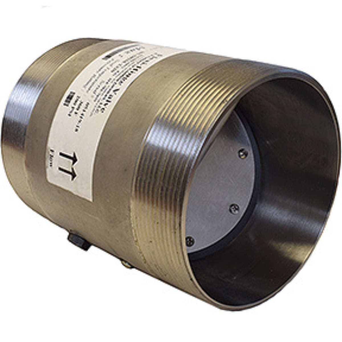 1" Check Valve 316 SS Body/Internals/Buna Seal 200