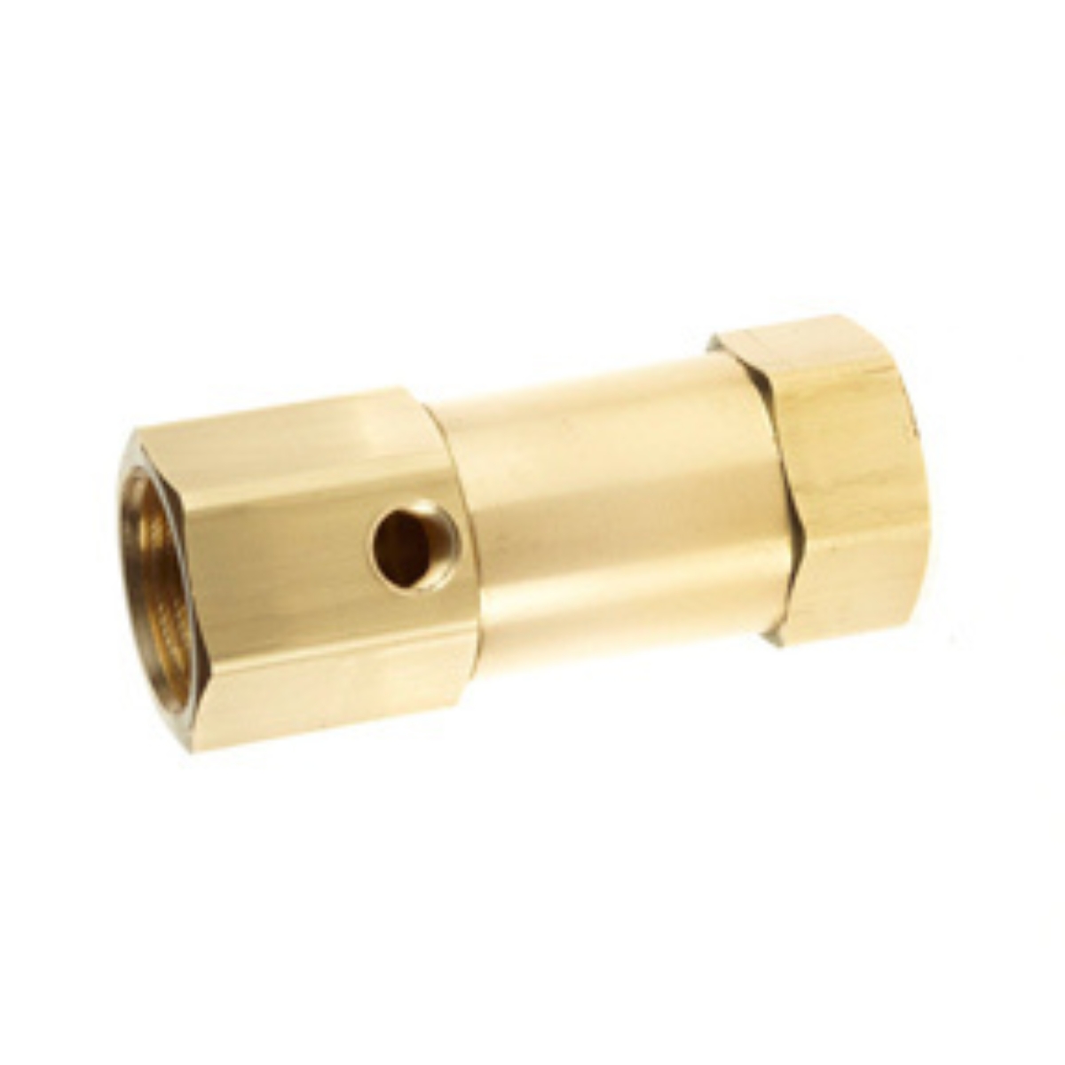 1/4 FPT In-Line Vertical Check  Valve 10 SCFM