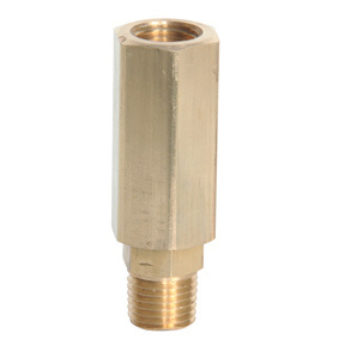 1/4 FPT x 1/4 MPT In-Line  Check Valve 2.5 SCFM