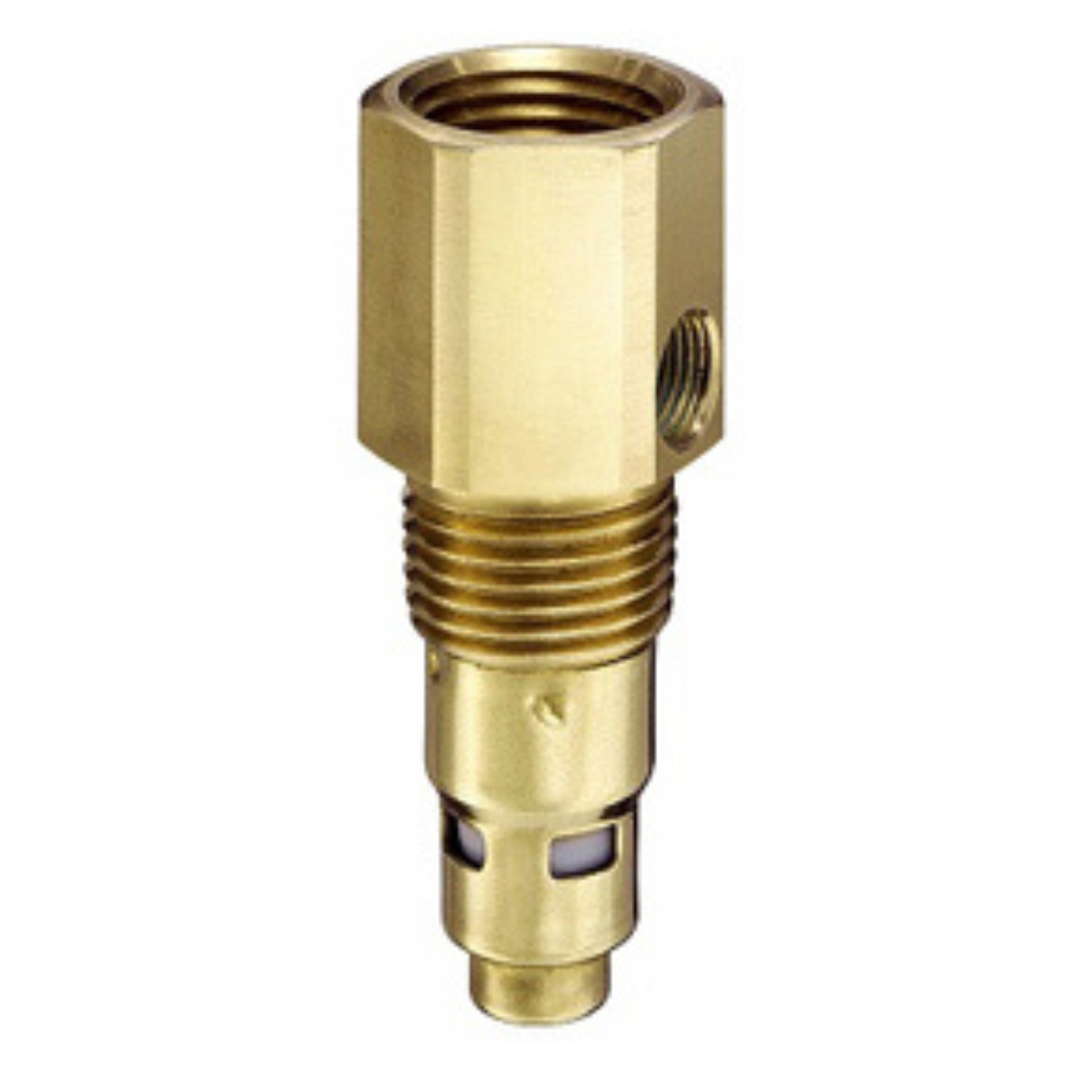 1" FPT x 1" MPT In-tank Check  Valve w/ 1/4 Port &amp; 1/8 Port