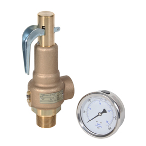 High Capacity Safety Valve and Gauge