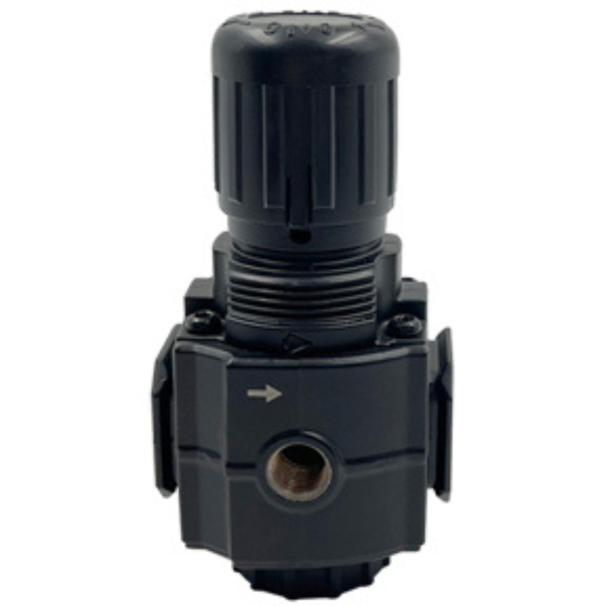 1/4" Relieving Regulator       91 SCFM  5-150 PSI 