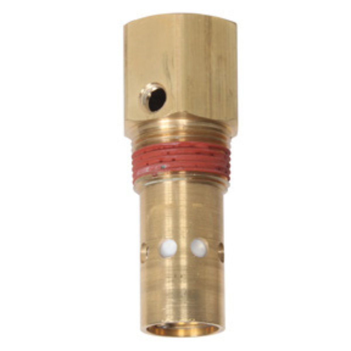 1" FPT x 1" MPT In-Tank Check Valve