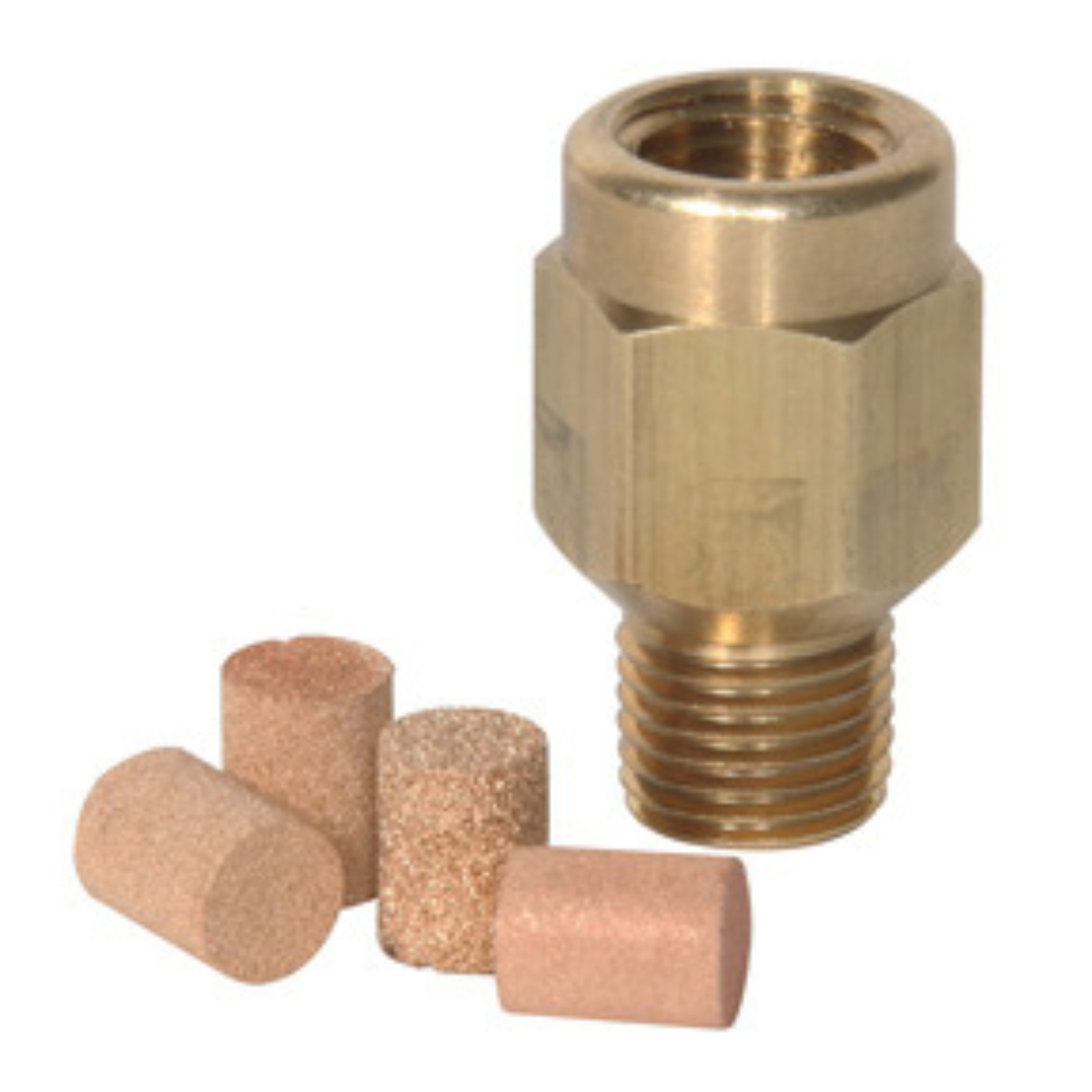 1/4 MPT Pressure Snubber