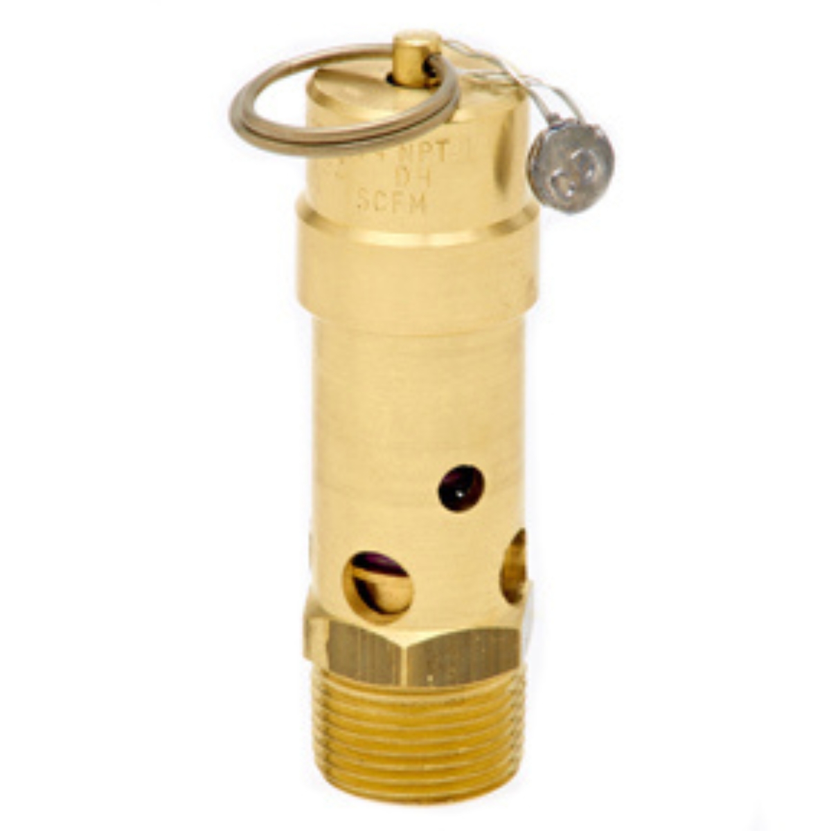 1/2 ASME Soft Seat Safety  Valve 100 PSI 413 SCFM