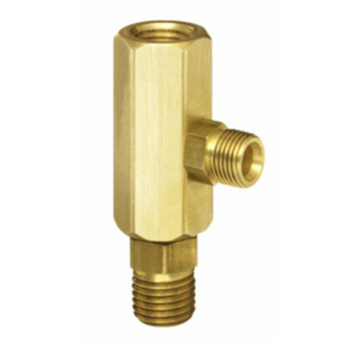 Shuttle Control Check Valve