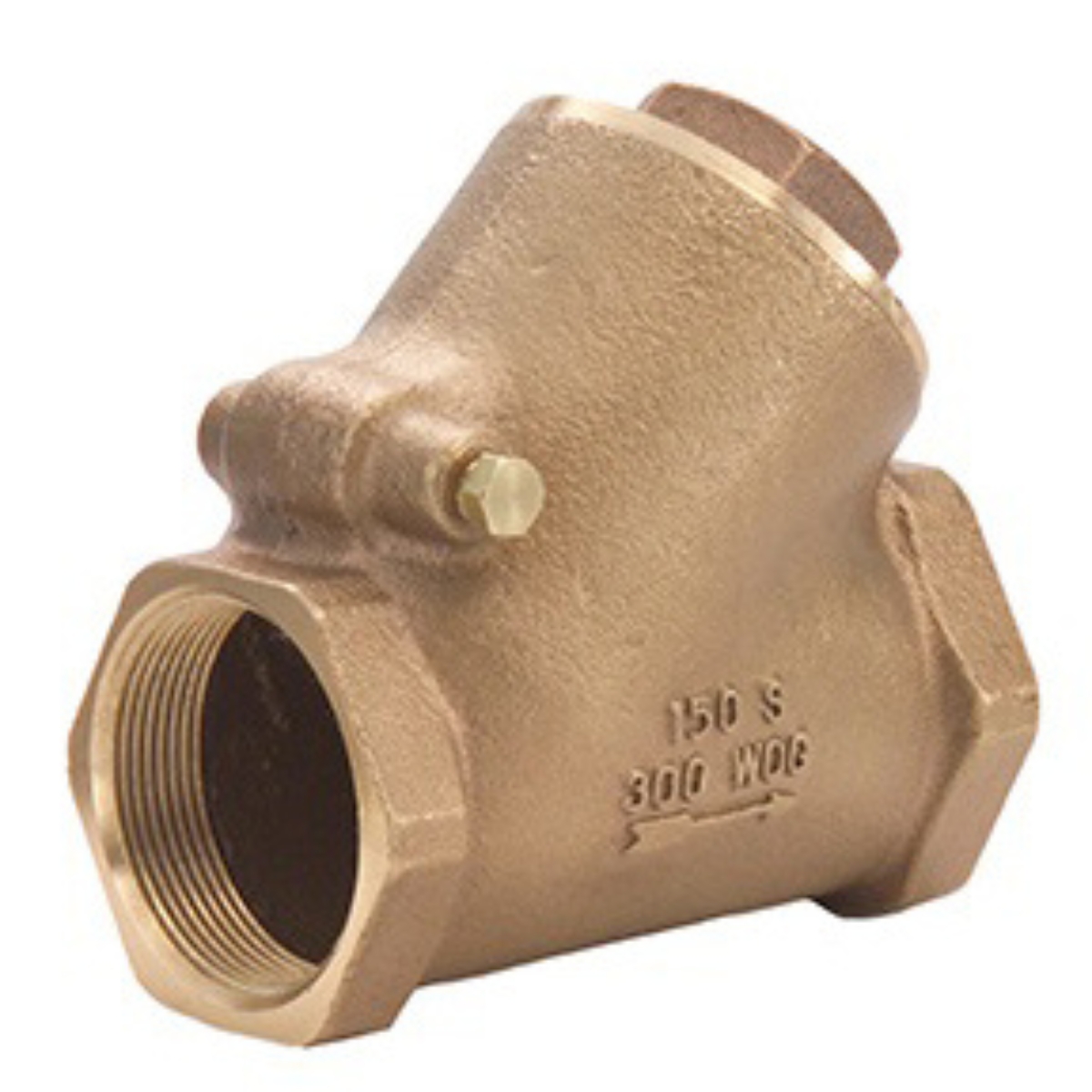 1" Y-Pattern Swing Check Valve