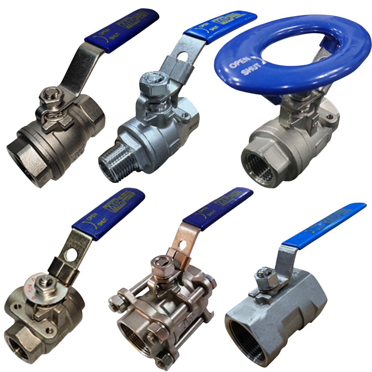 Stainless Steel Valves