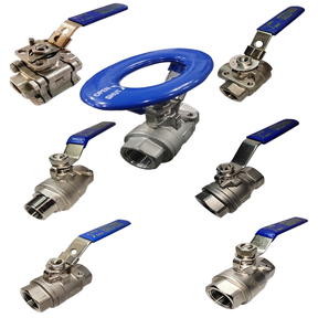 Stainless Steel Valves