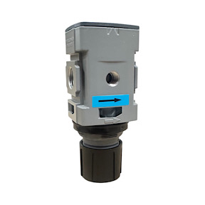 1/4 148 SCFM Relieving Regulator 10-250 PSI